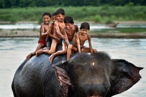 kids having fun on elephant