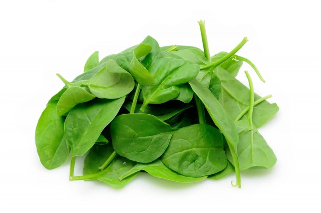Baby spinach Bitki Bazlı Protein Kaynakları