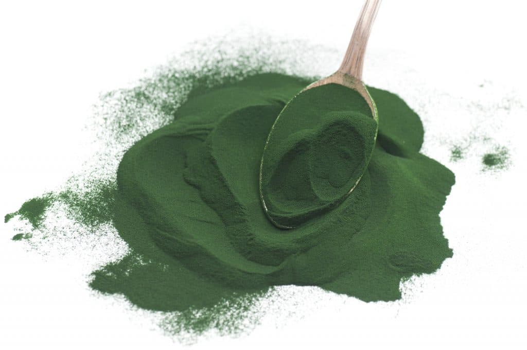 Spirulina Bitki Bazlı Protein Kaynakları