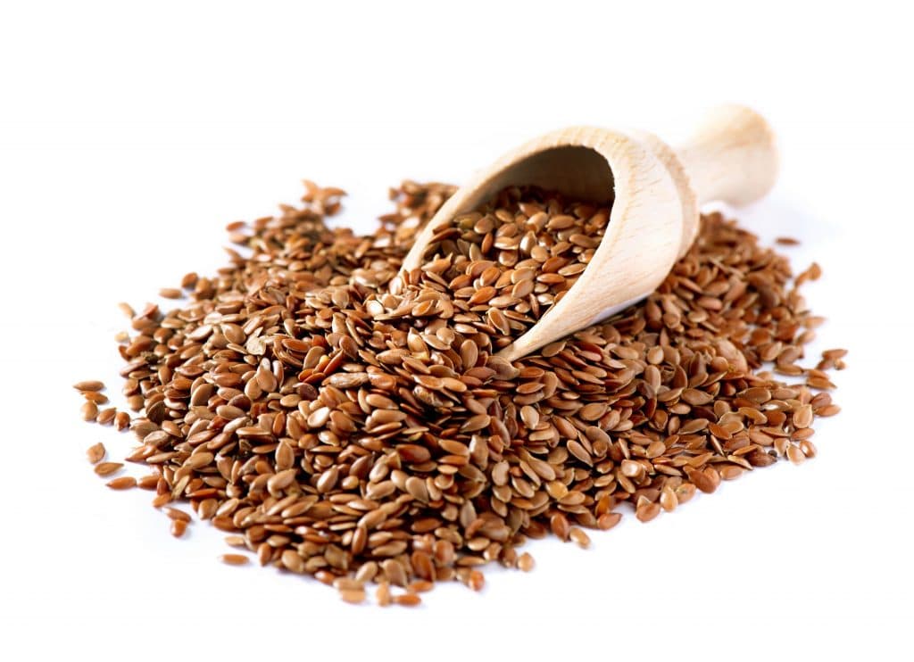 flax Bitki Bazlı Protein Kaynakları