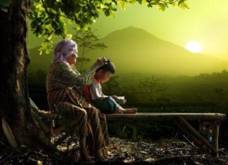 Nature n Peace1 Ana Sayfa