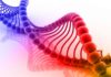 DNA’daki Bilgi Bir Arşiv Bilgisidir dna sarmalı Ana Sayfa