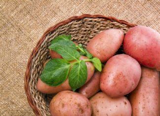 kırmızı çiğ patatesler Ana Sayfa