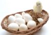 yemekleri karıştırmak vücuda iyi gelmiyor civciv yumurtadan çıkar Ana Sayfa