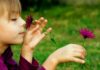 En İyi Besin Nedir? çiçek koklayan kız Ana Sayfa