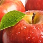 kış elması Ana Sayfa