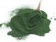 Veganlar için Bitkisel B12 Kaynakları Spirulina Ana Sayfa