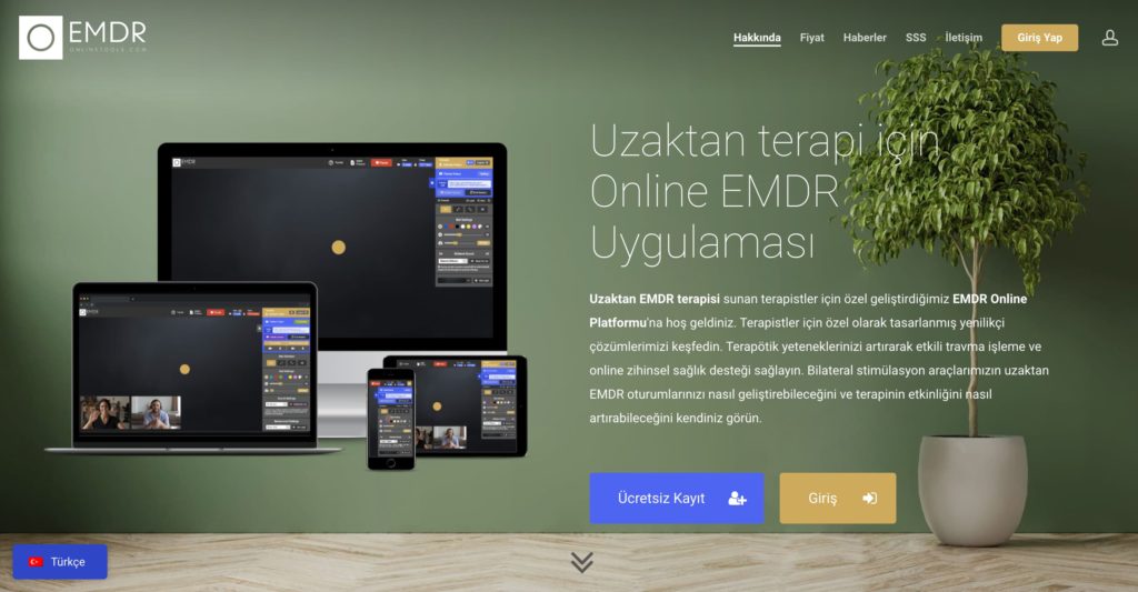 Screenshot 2024 05 09 at 02.22.43 Online EMDR Terapisi: Yeni Teknolojiler ve Uygulamalar
